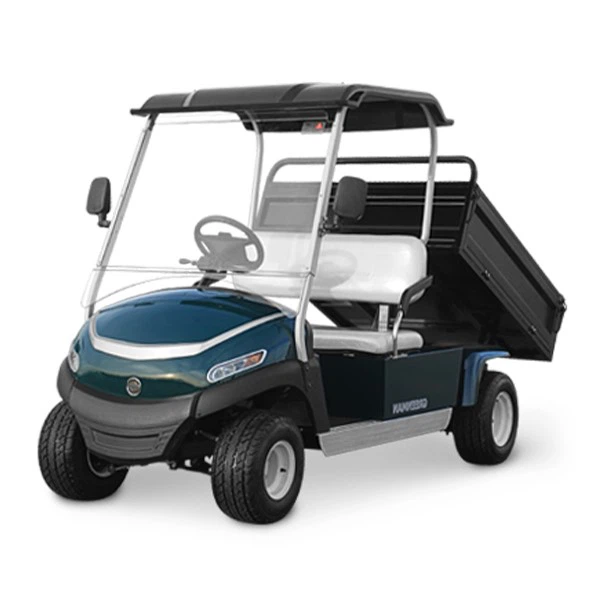 Electric Farm car Customized